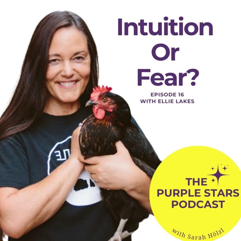 Cover of one of the episodes of the Purple Stars Podcast