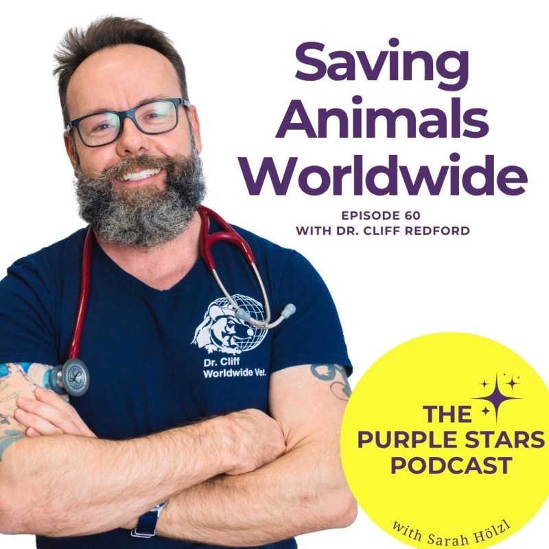 Cover of one of the episodes of the Purple Stars Podcast